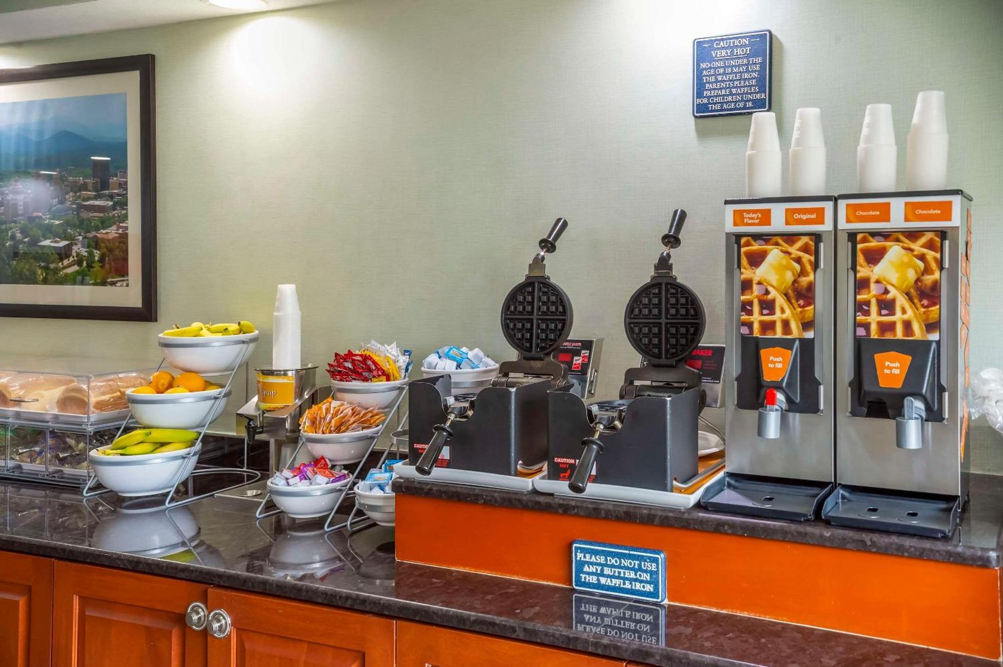 Comfort Suites Outlet Center Asheville Bagian luar foto